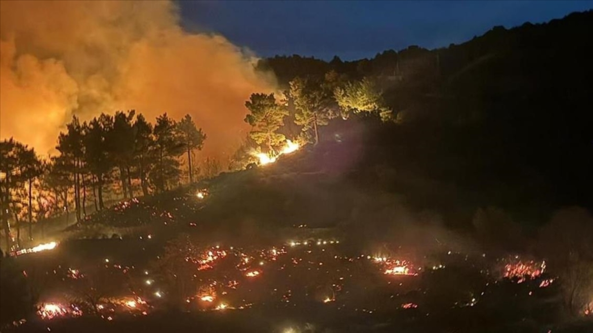 Muğla’daki yangınlarda son durum: 218 ev boşaltıldı, 582 kişi tahliye edildi