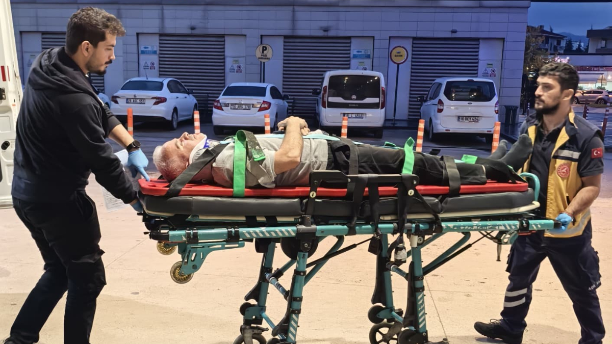 Bursa’da ceviz ağacından düştü: Ağır yaralandı