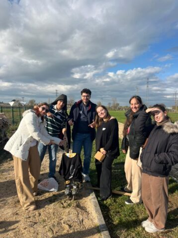 209017-692c678b2dc65