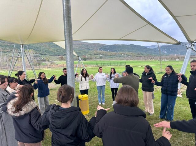 209017-692c678b6312c