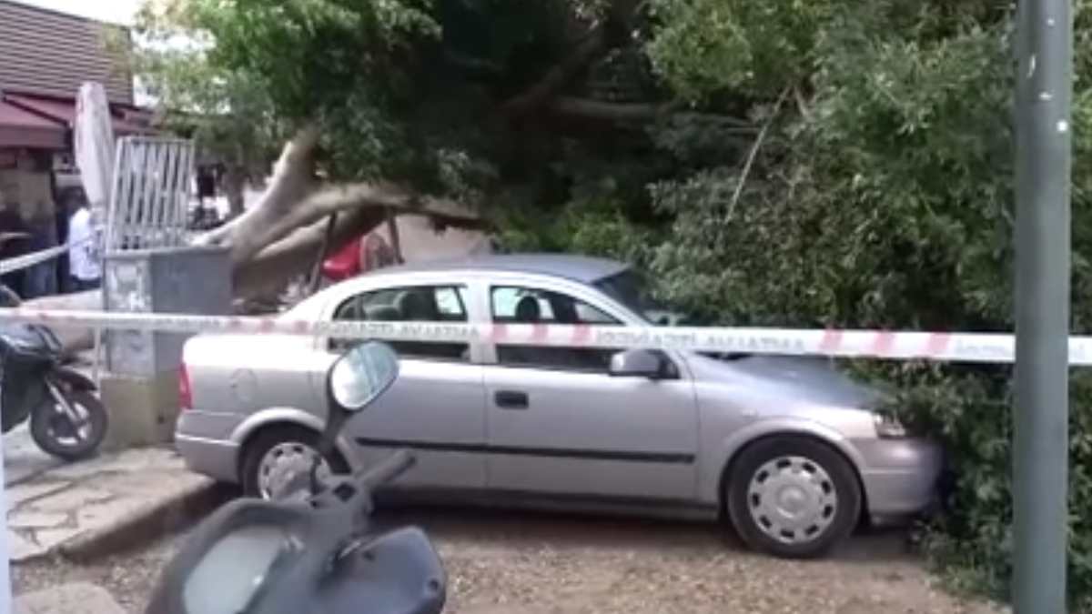 Antalya’da devrilen ağacın altında kalmaktan son anda kurtuldu