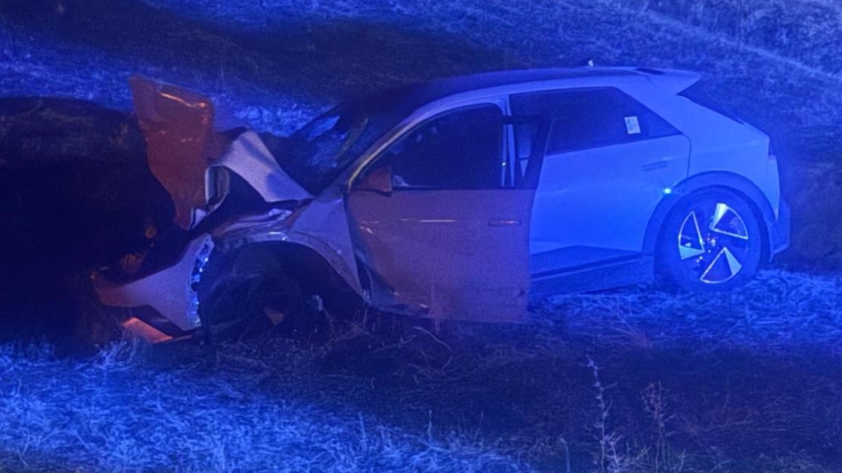 Muş’ta otomobilin çarptığı inek telef oldu