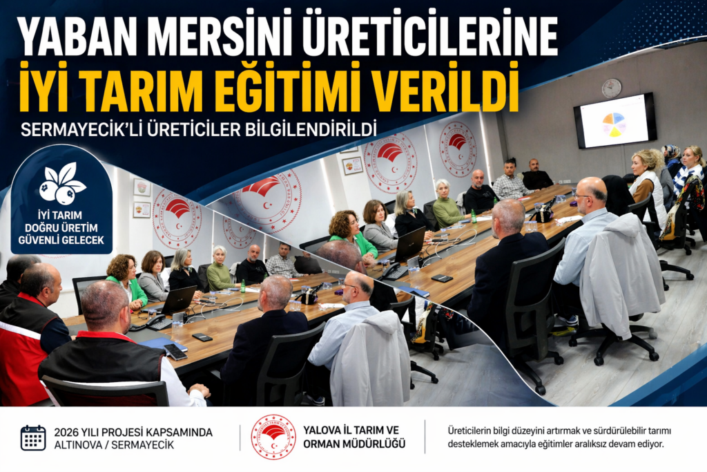 Yalova’da Yaban Mersini Üreticilerine İyi Tarım Eğitimi Verildi
