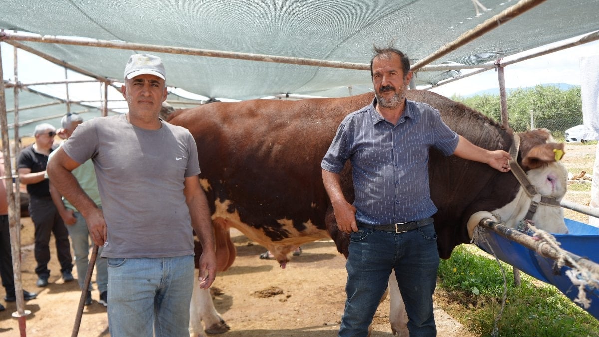 Antalya’da kurban pazarında son kozlar oynandı: Zor belayla aldık