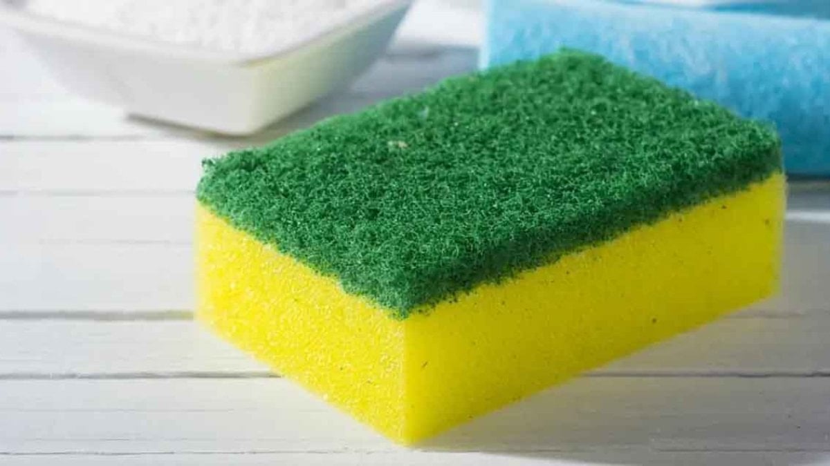 Bulaşık süngerine damlatın, koku ve bakteriden arındırın…