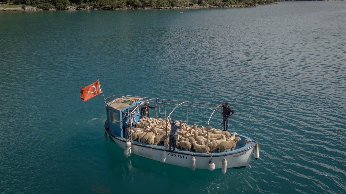 Denizli’de karadan başlayan göç, denizde devam ediyor