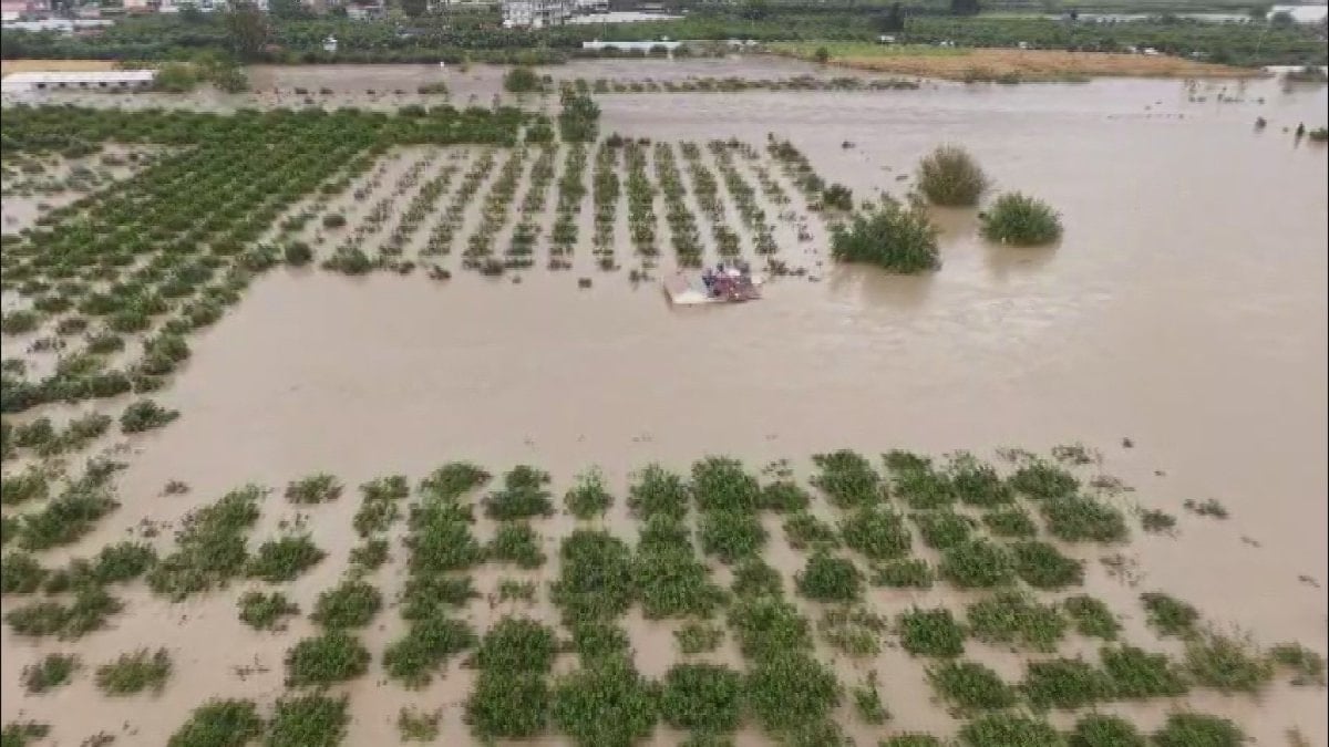 Hatay’da tarım arazilerindeki hasar sular çekilince ortaya çıktı