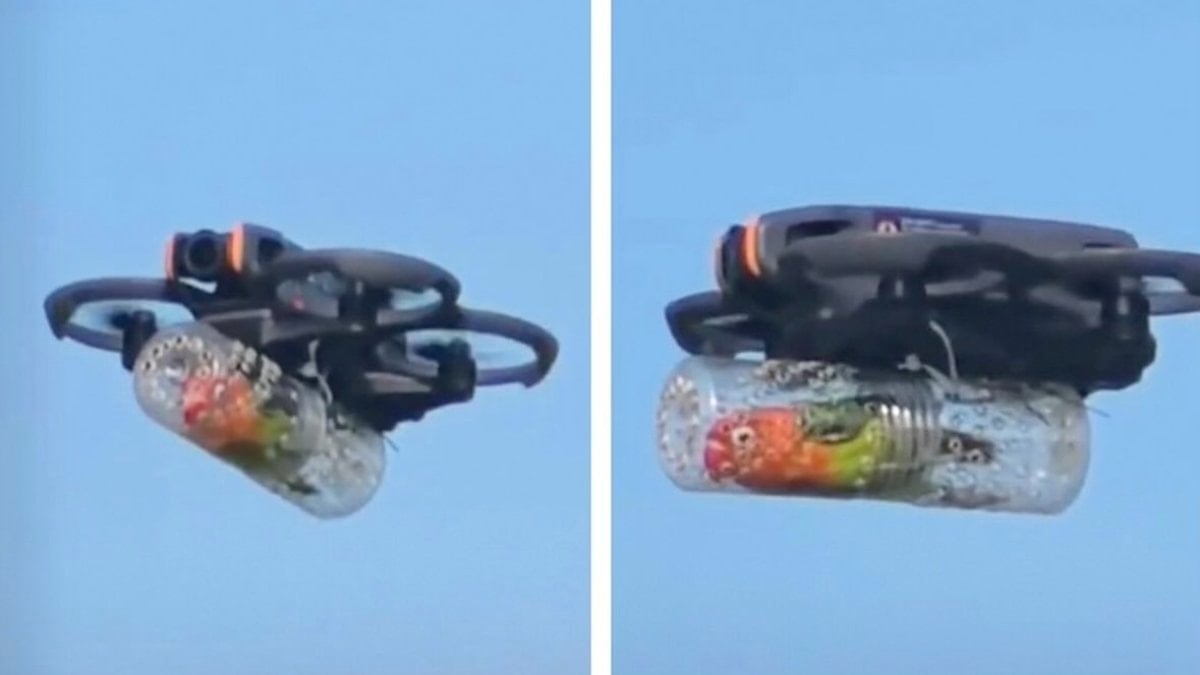 “Kuşakabin” yorumu yağdı! Engelli kuşa kabinli drone tasarlandı