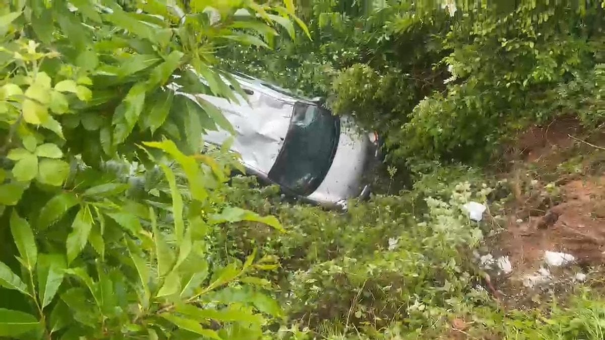 Sakarya’da otomobil şarampole uçtu