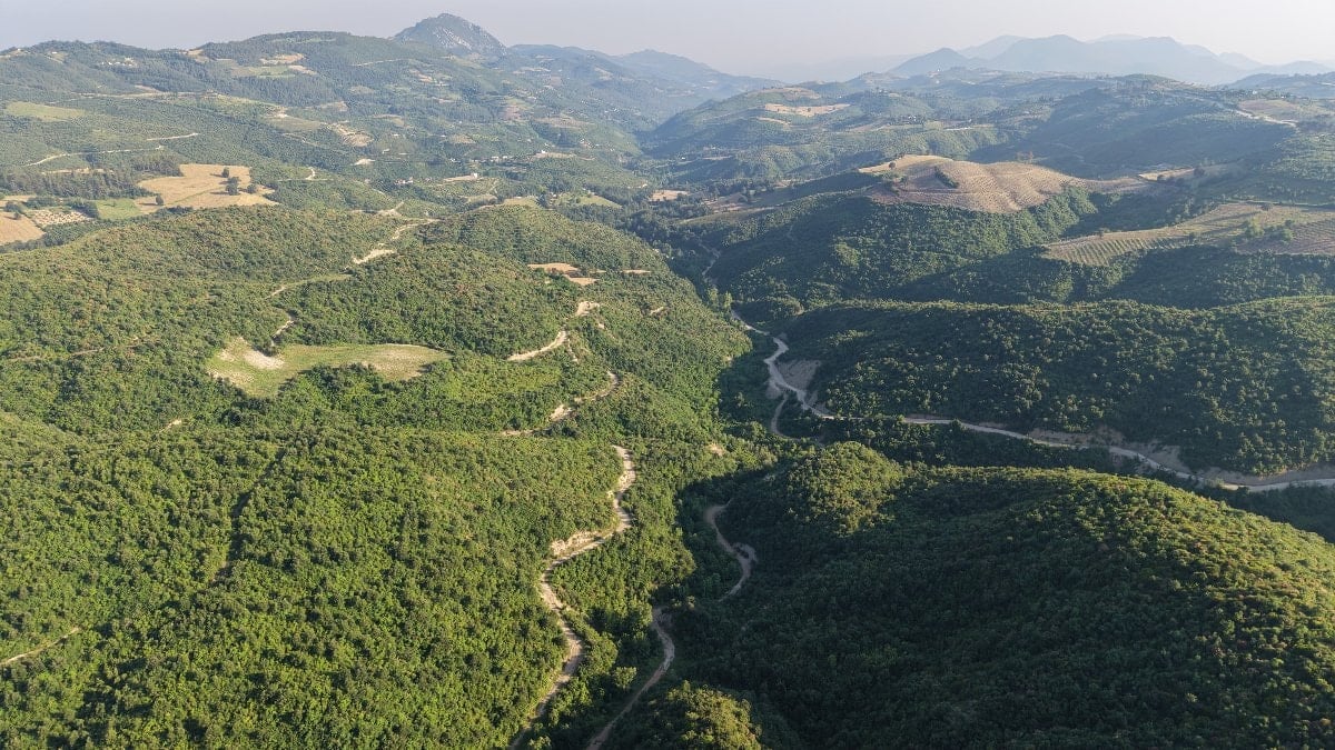 Adana’da yanan ormanlar yeşerdi