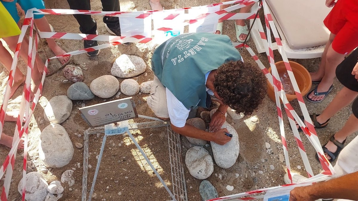 Antalya’da 38 deniz kaplumbağası yuvası koruma altına alındı