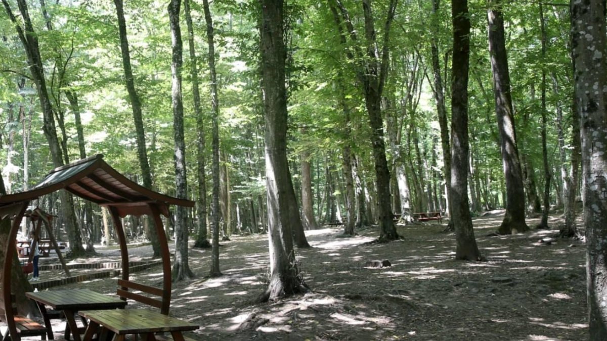 Edirne’de ormanlık alanlara giriş 15 Ekim’e kadar yasak