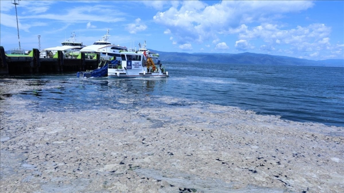 Marmara Denizi’nde plastik kirliliği kritik seviyede