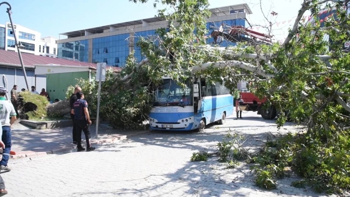 Osmaniye’de çınar ağacı otobüsün üzerine devrildi: Saniyelerle kurtuluş kamerada