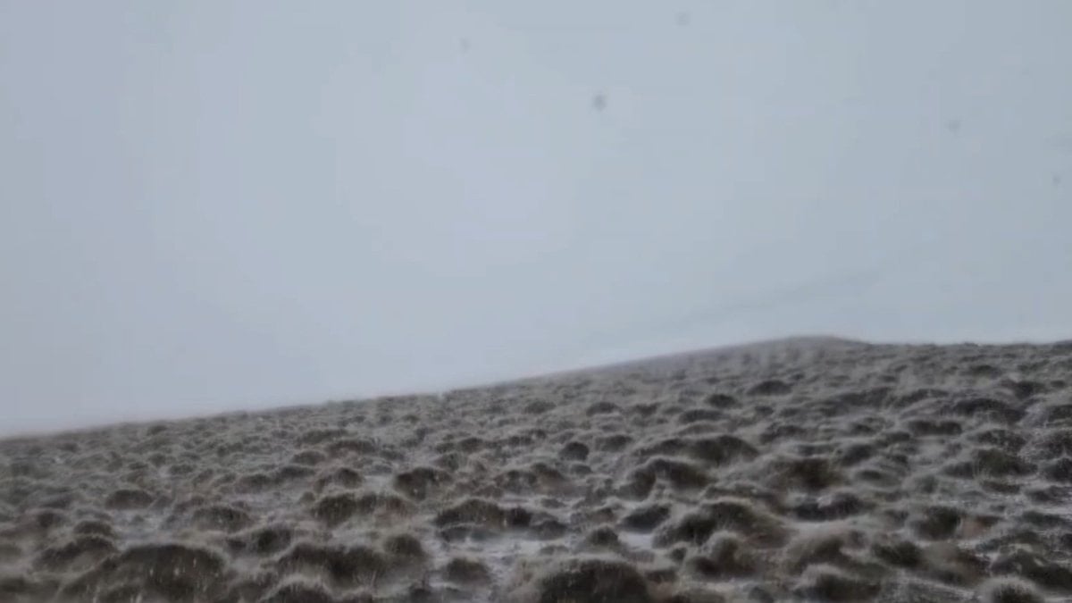 Süphan Dağı, haziranda kara büründü