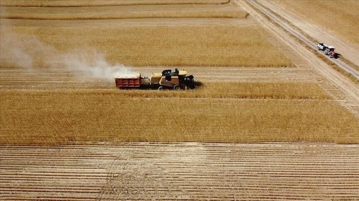 Tarım ve hayvancılığa 165,5 milyon lira destek ödemesi