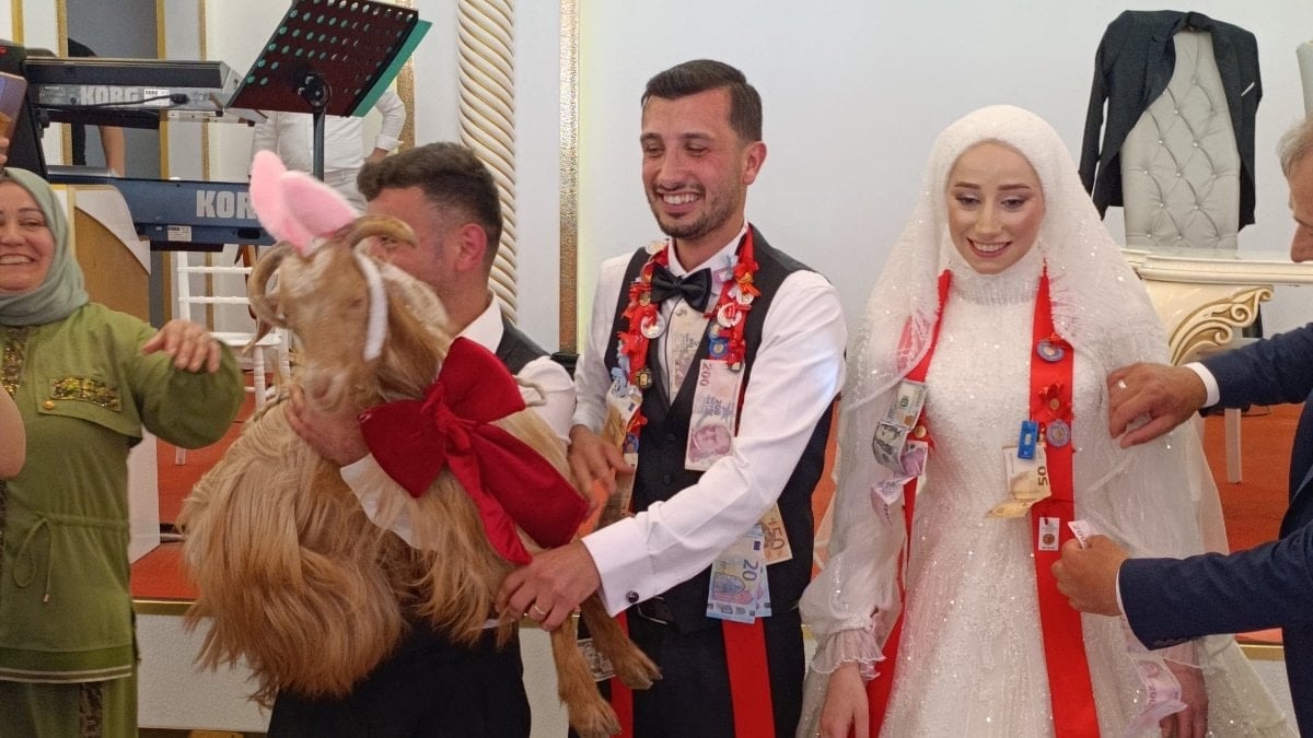 Trabzon’da damada altın yerine keçi takıldı