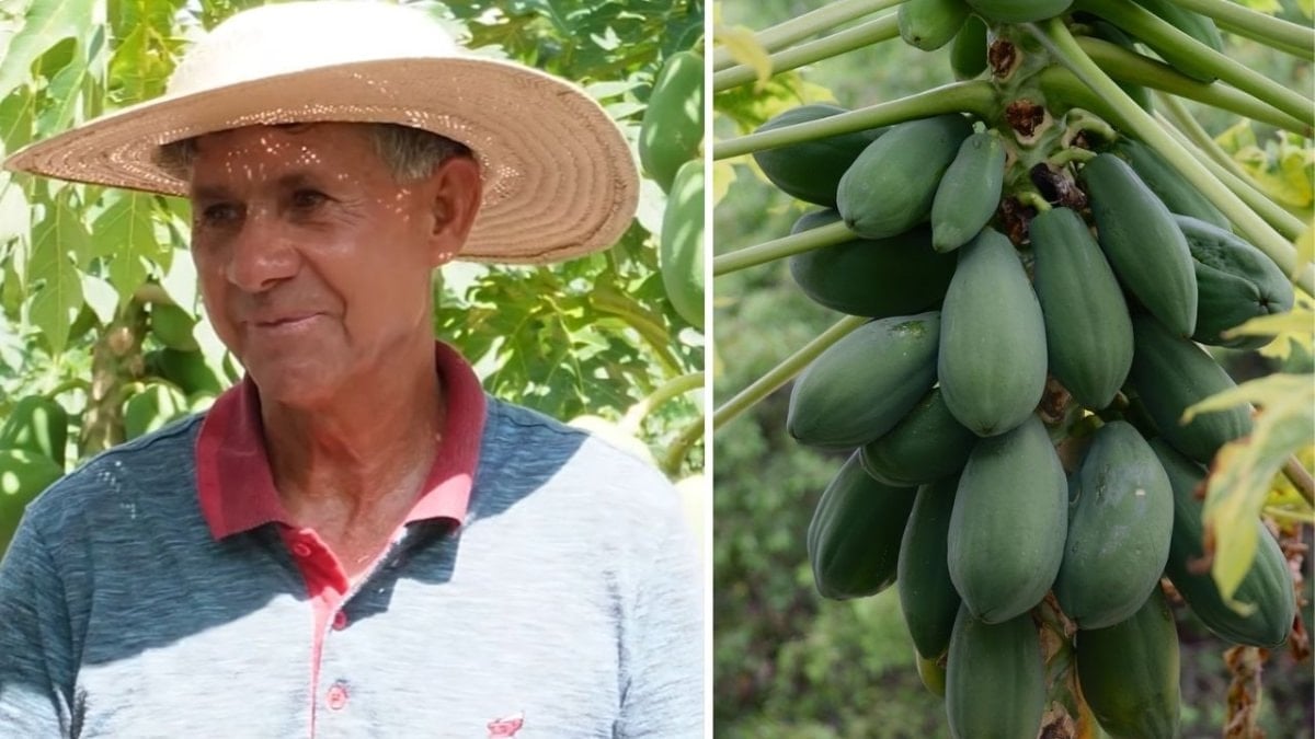 Pahalı diye almıyordu ama üretmeye karar verdi: 67 yaşında hayatı değişti