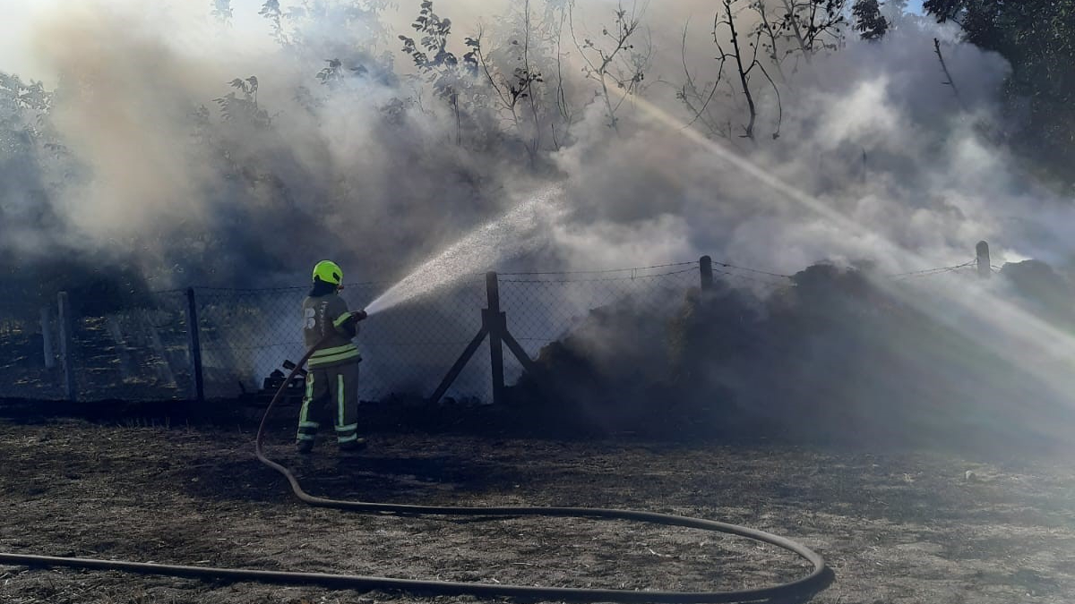 Balıkesir’de korkutan yangın