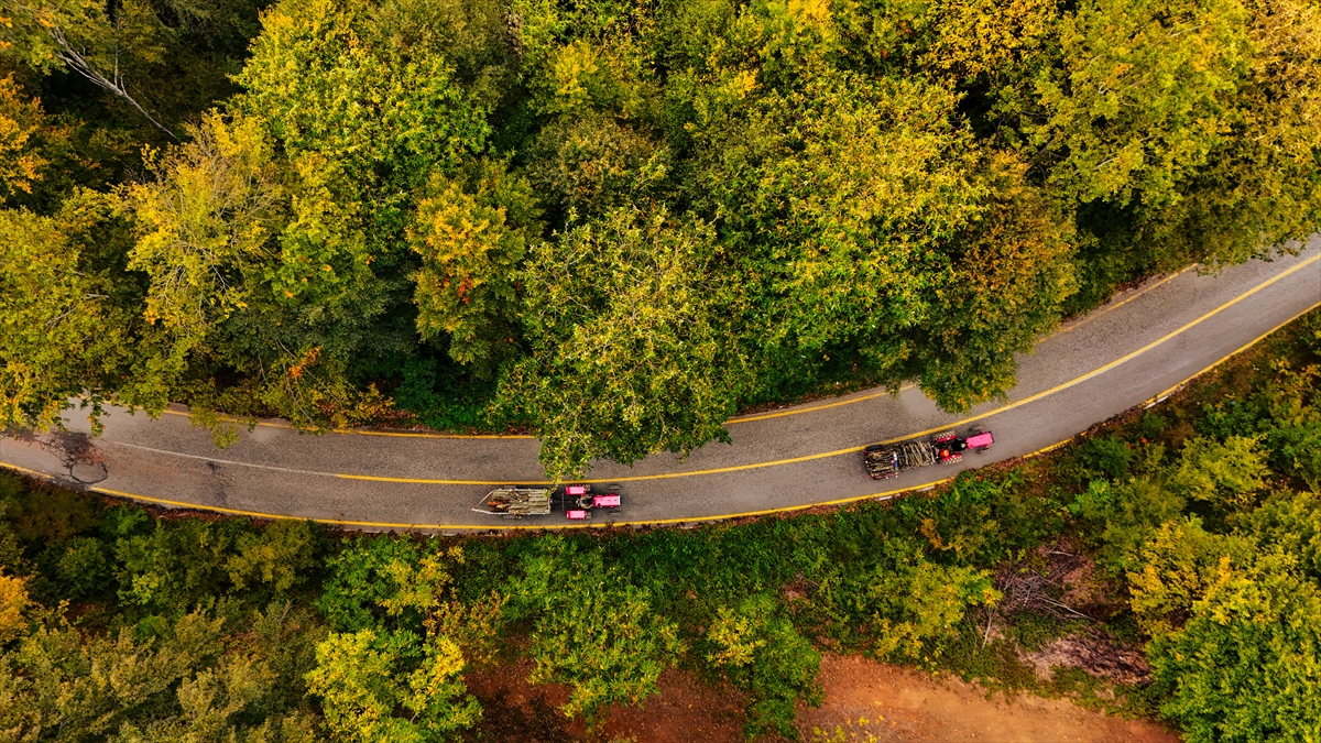 Sonbahar, Çam Dağı’nı renklere boyadı
