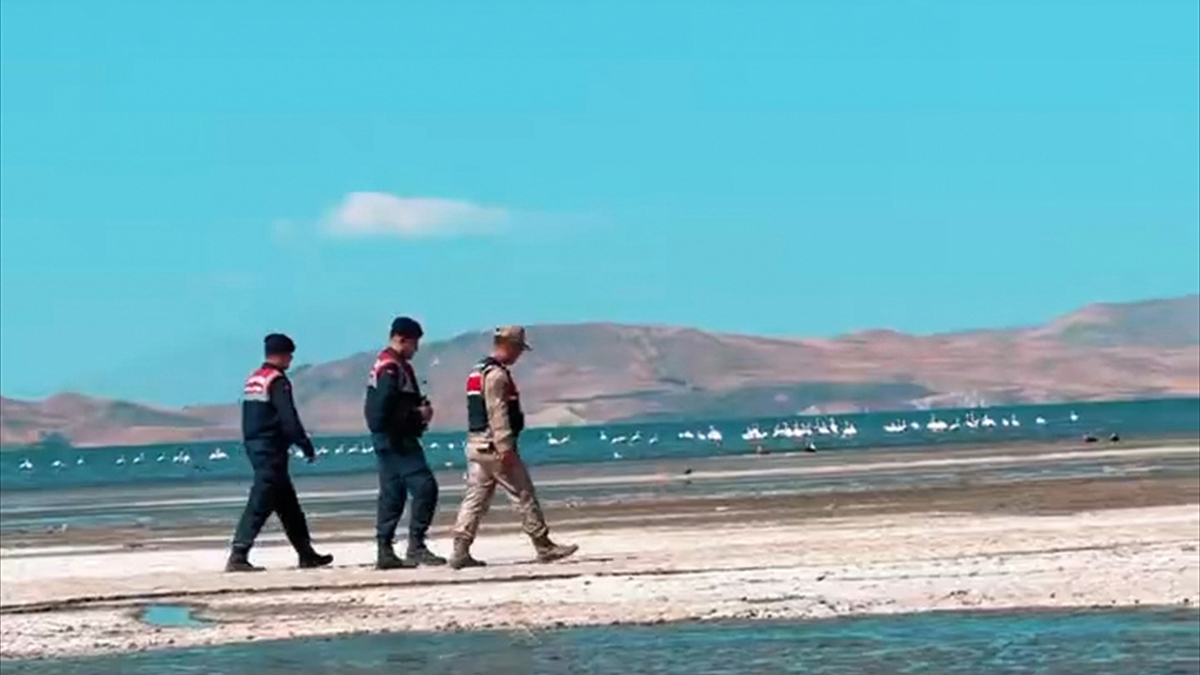 Van’da flamingolar jandarmaya emanet