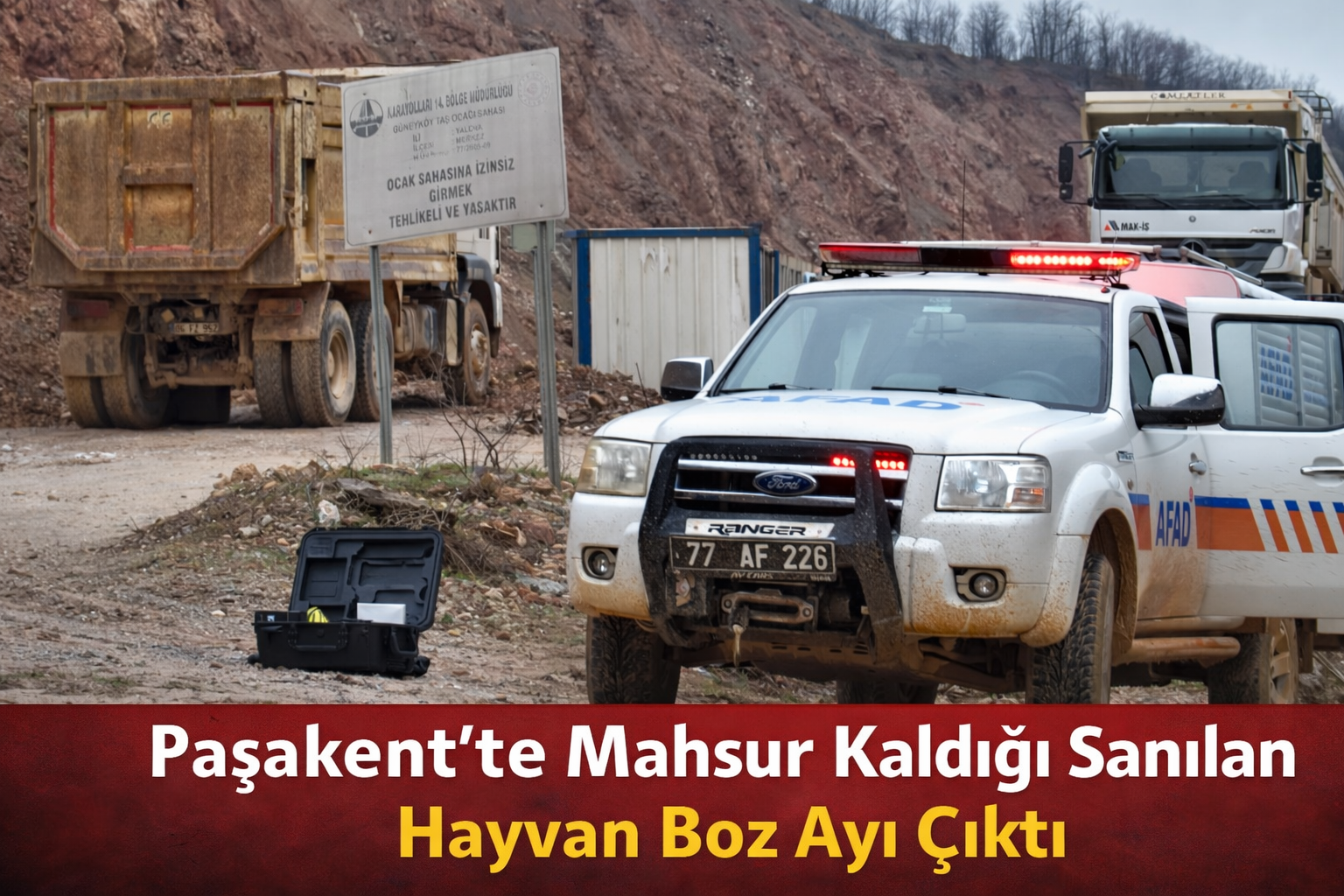 Paşakent Maden Sahasında Mahsur Kaldığı Sanılan Hayvan Boz Ayı Çıktı