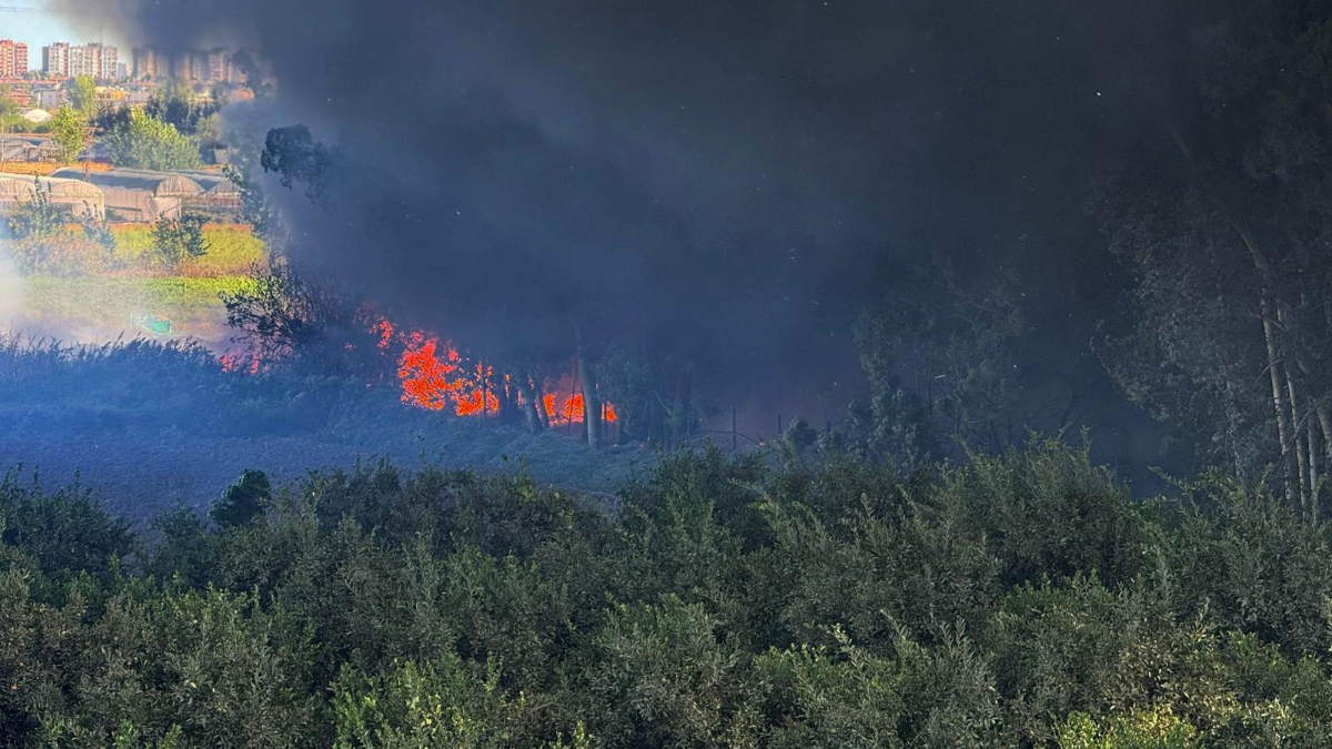 Adana’da geri dönüşüm fabrikasında yangın