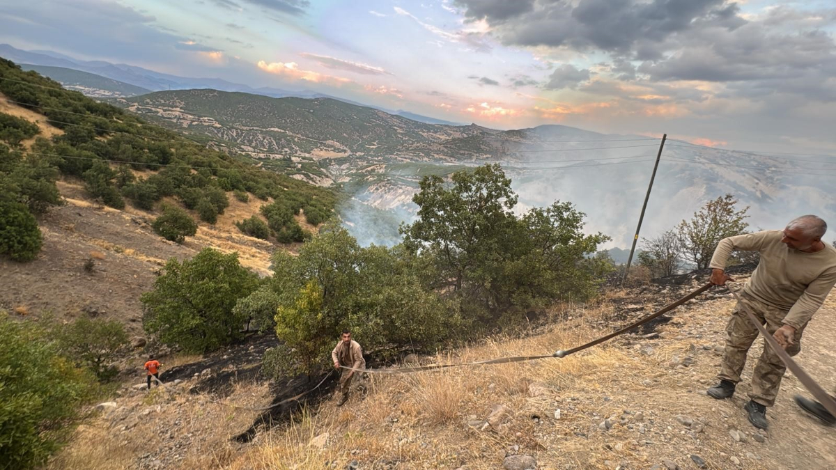 Bingöl’de korkutan yangın: Kontrol altında