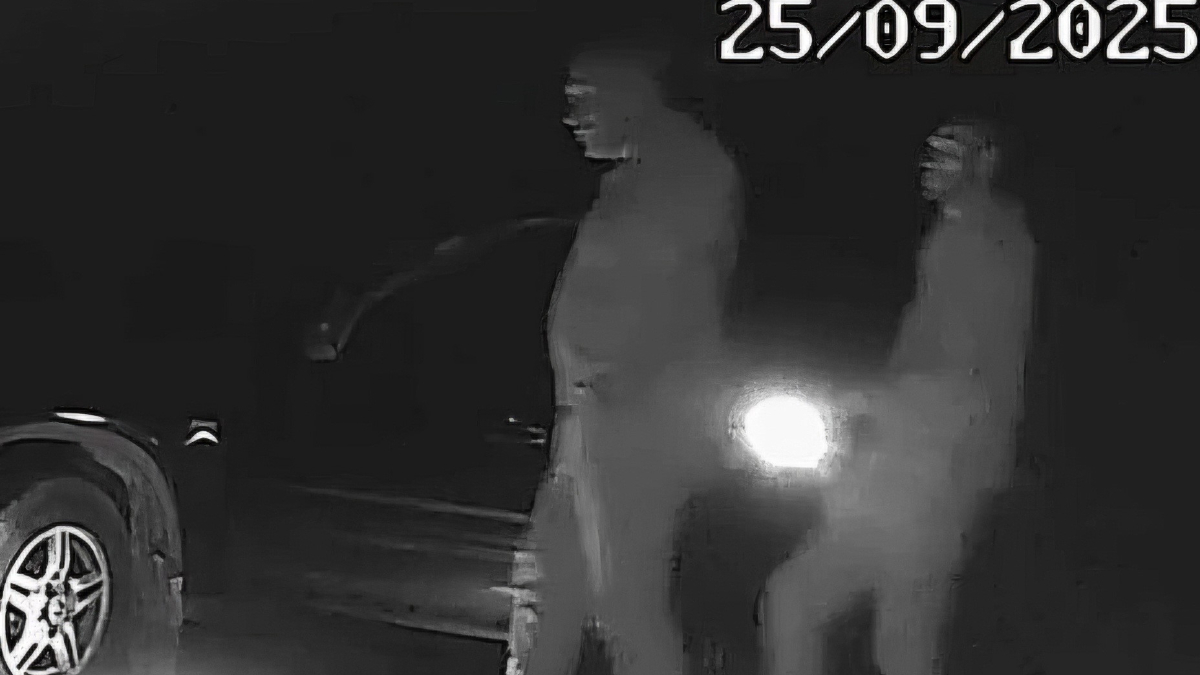 Boz ayı avlayan iki avcı fotokapana yakalandı: Toplam 170 bin TL para cezası verildi