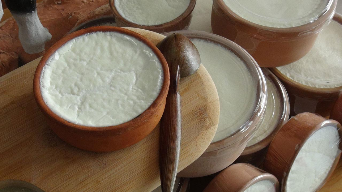 Cilt bakımından bağırsak sağlığına: Yoğurt yemeniz için 5 neden