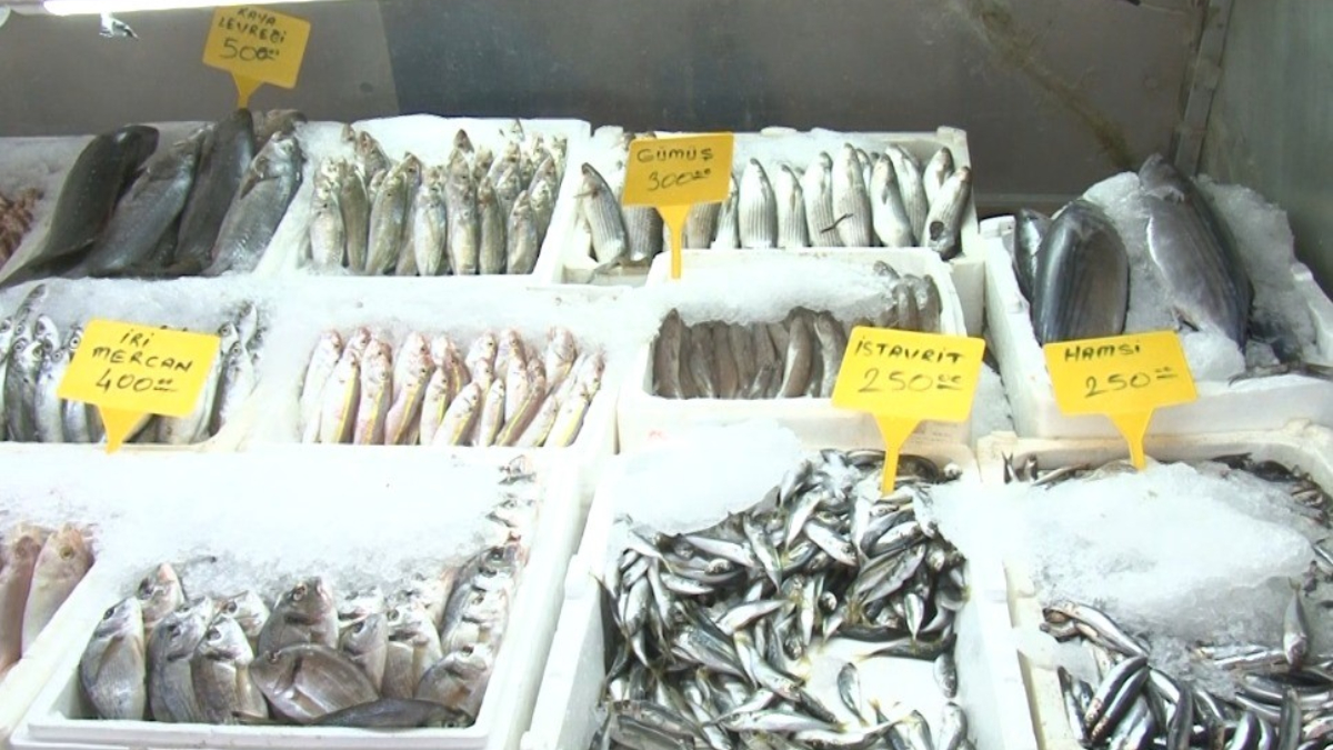 Deprem sonrası Kahramanmaraş’tan 54 ülkeye balık ihracatı