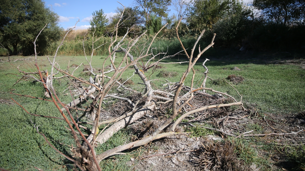 Edirne’deki Musabeyli Göleti tamamen kurudu