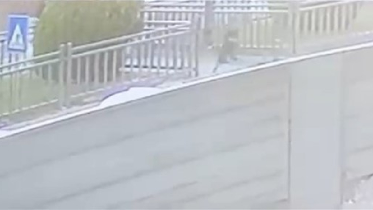 Elazığ’da yola fırlayan çocuk ölümden döndü