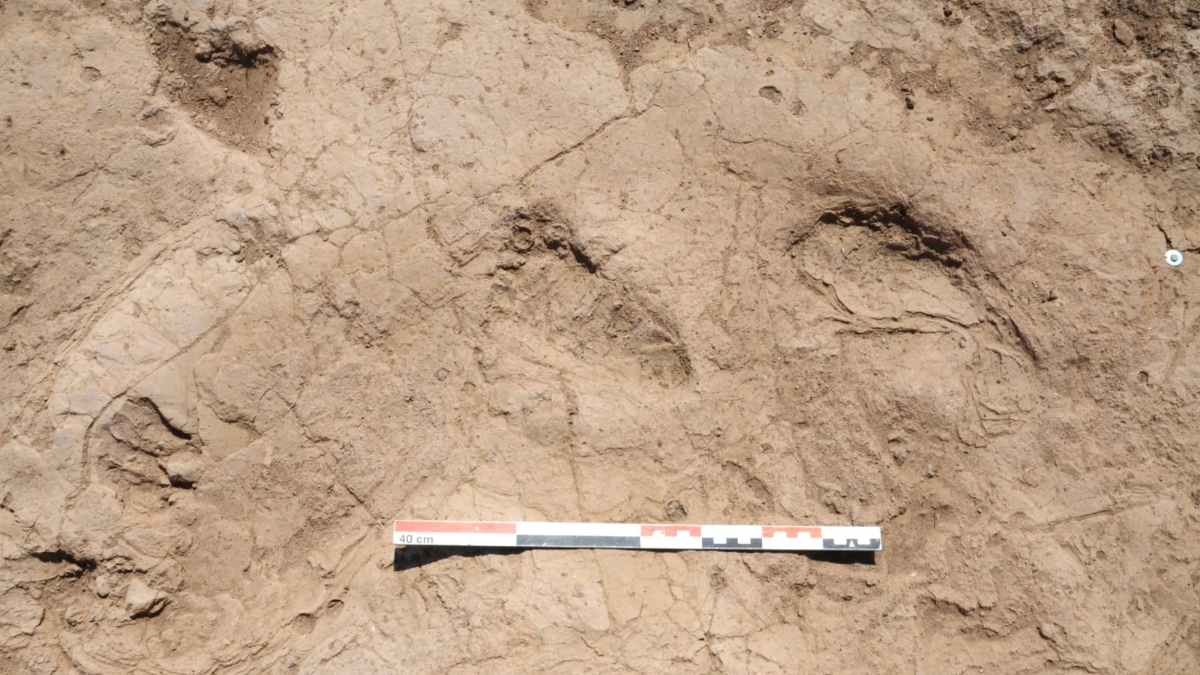 Hatay’da 7 bin yıl öncesine ait insan ayak izleri bulundu