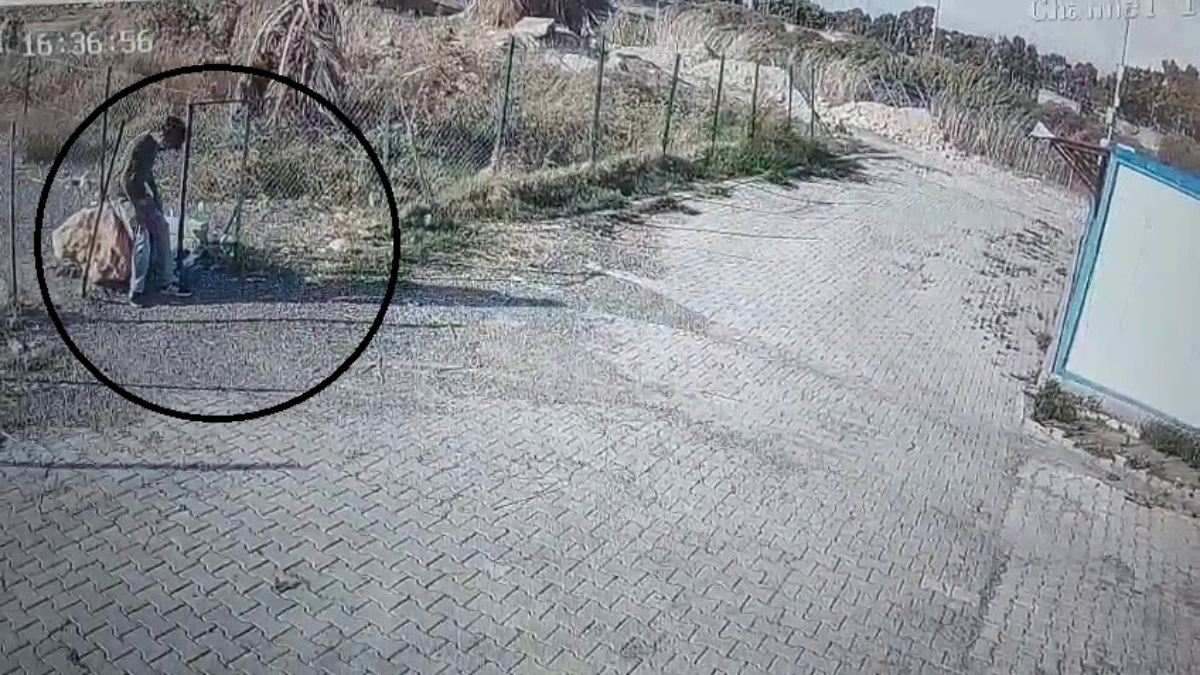 Hatay’da iki şahıs depremzedenin kaldığı konteynere girip laptop çaldı