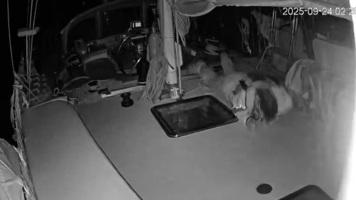 Küresel Sumud Filosu’na ses bombalarıyla saldırı