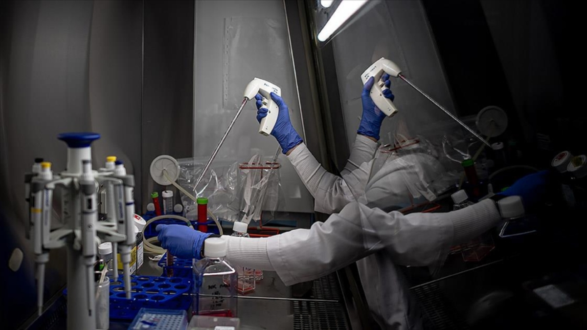 Mutfağınızdan eksik etmeyin: Kanserden koruyan 10 süper besin