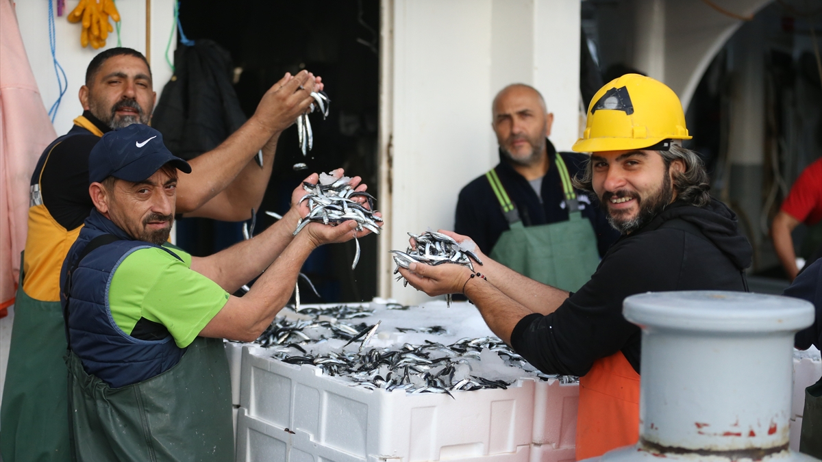 Ordu’da hamsi bolluğu balıkçıları sevindirdi
