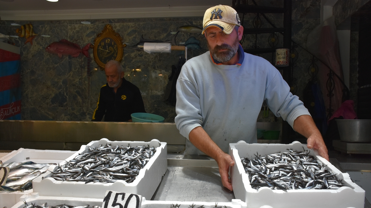 Trabzon’da hamsi ve istavrit 150 lira oldu