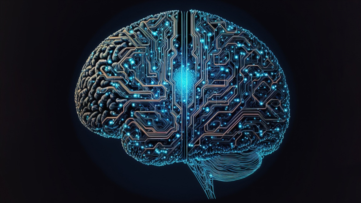 Ankara Üniversitesi’nden 50+ hayat okulu: Yaşlılar yapay zekayla yeni çağa hazırlanıyor