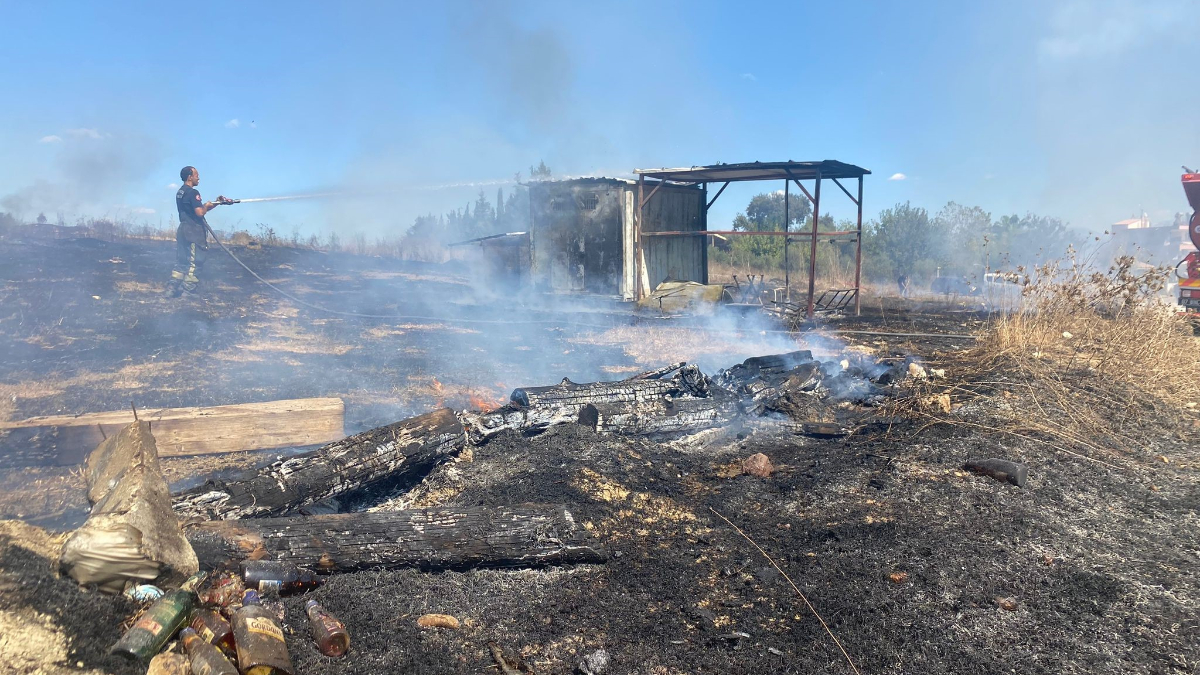 Antalya’da yangın: 25 güvercin telef oldu