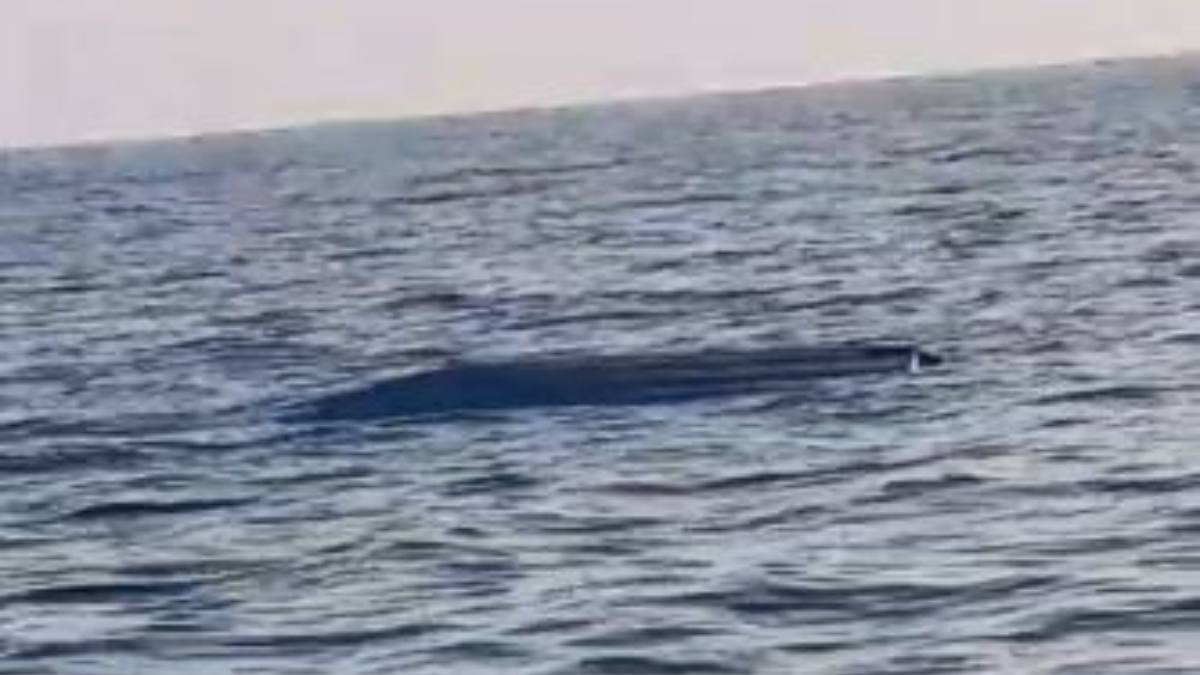 Artvin’de insansız deniz aracı bulundu