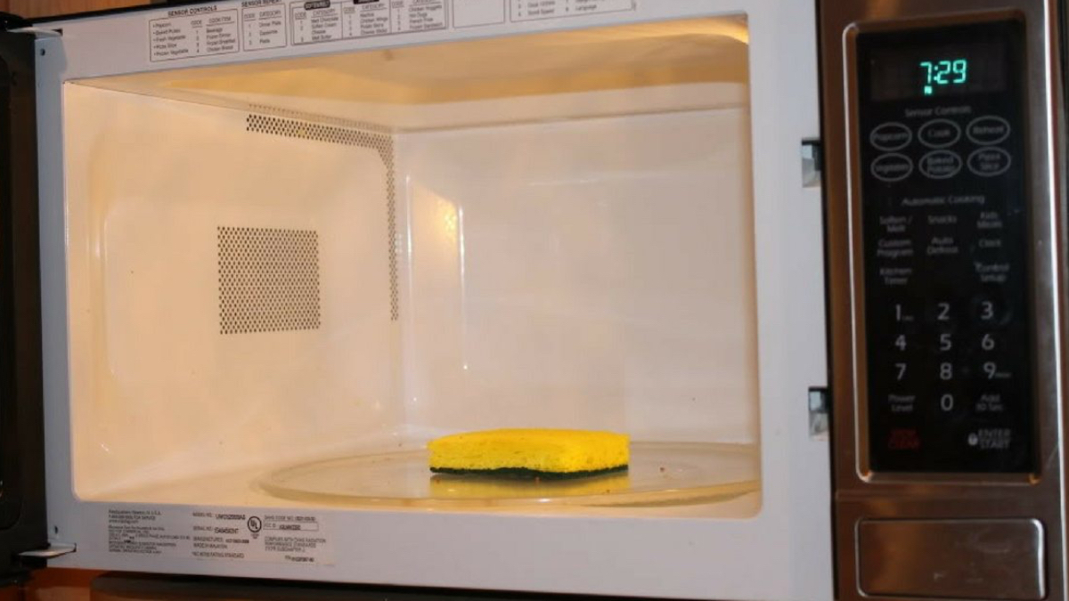 Bulaşık süngerini mikrodalgaya koyun, 2 dakikada tertemiz oluyor…