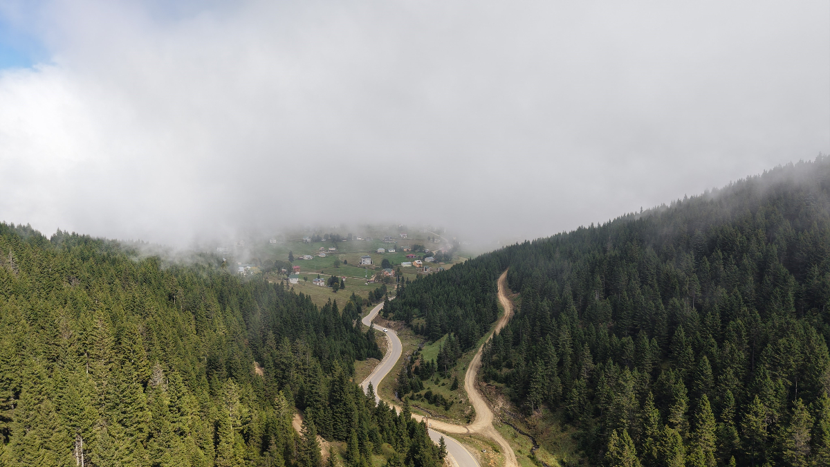 Doğu Karadeniz için heyelan uyarısı: Ağaçlandırma şart