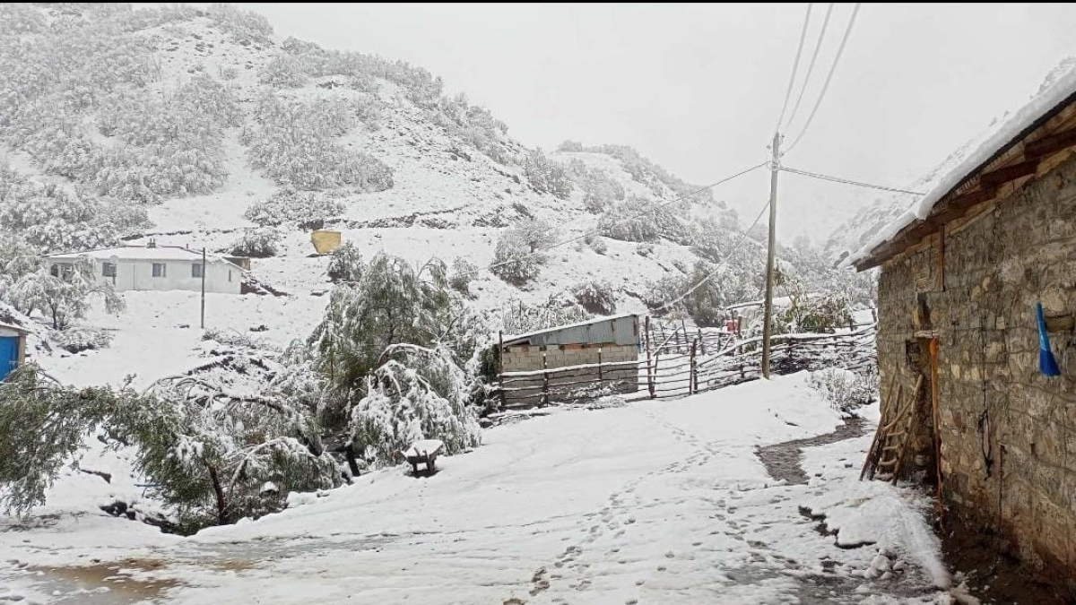 Erzincan’da hasadı yapılmayan ceviz kar altında kaldı