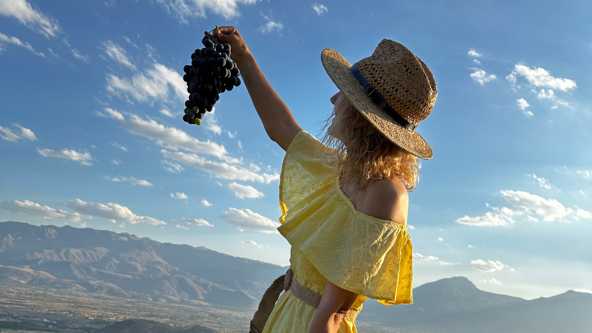 Erzincan’da iki asırlık bağlarda bereketli hasad