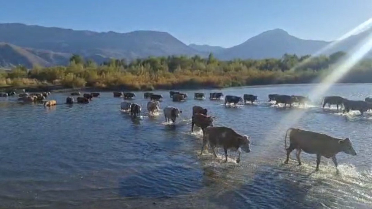 Erzincan’da kuraklık etkisini gösterdi