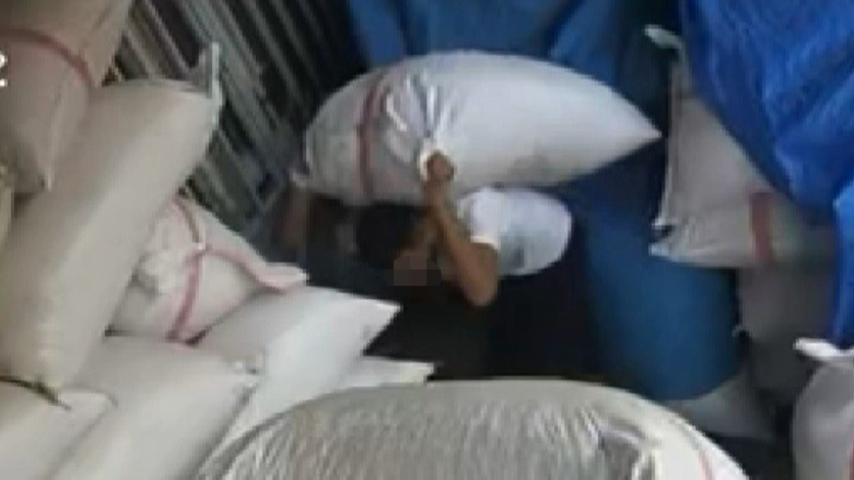 Gaziantep’te 450 bin TL’lik Antep fıstığı çalan hırsız kameraya yansıdı