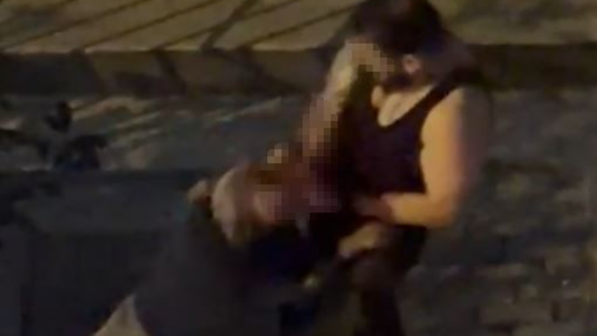 İstanbul’da pitbull cinsi köpek sahibine saldırdı: Dehşet anları kamerada