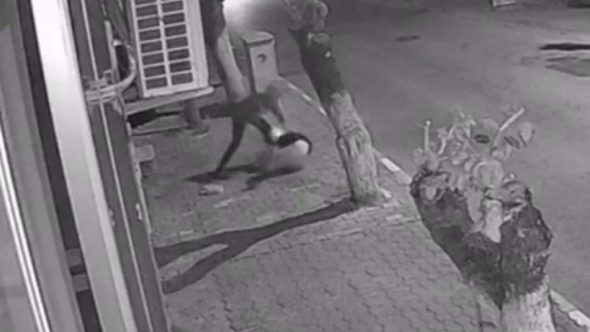 İzmir’de Betül’ü bıçakla yaralayıp telefonunu çalan komşu oğlu, 18 yıl 8 ay hapis cezası aldı